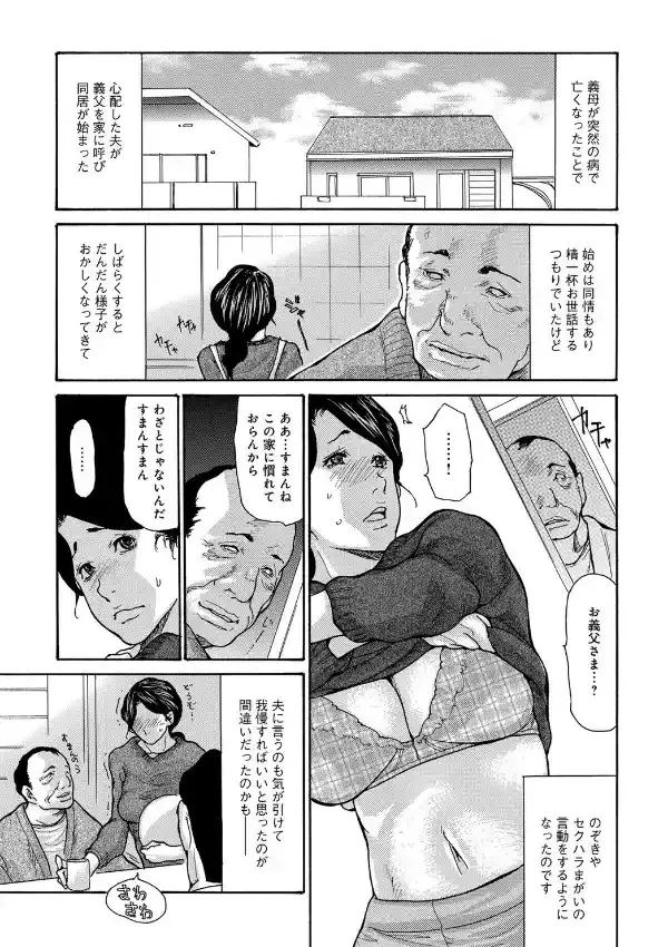 マグナムX Vol.27 びじゅくづま・なつごう3