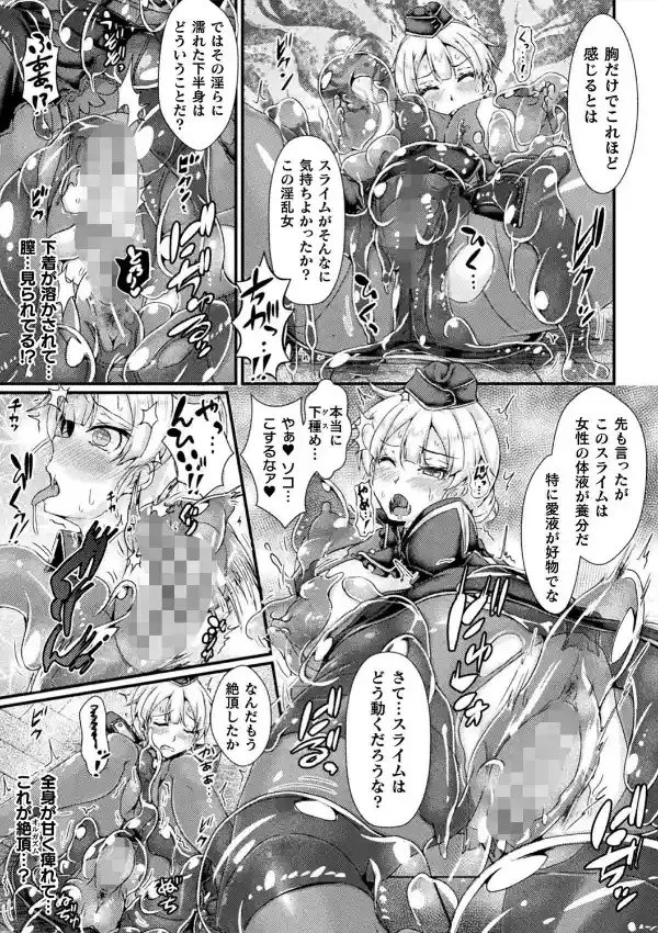 Corrupted Maiden 〜淫欲に堕ちる戦姫たち〜17