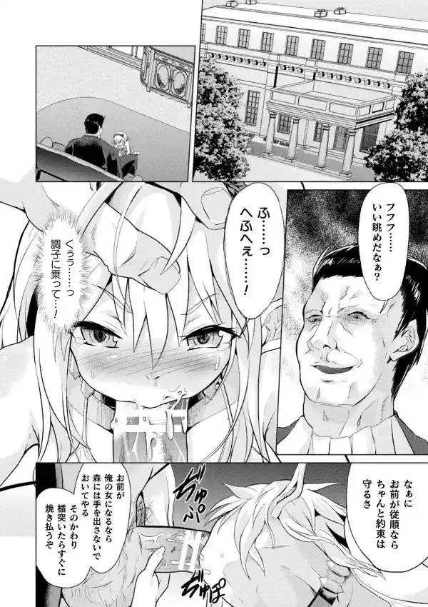 権力者の妻となったエルフ3