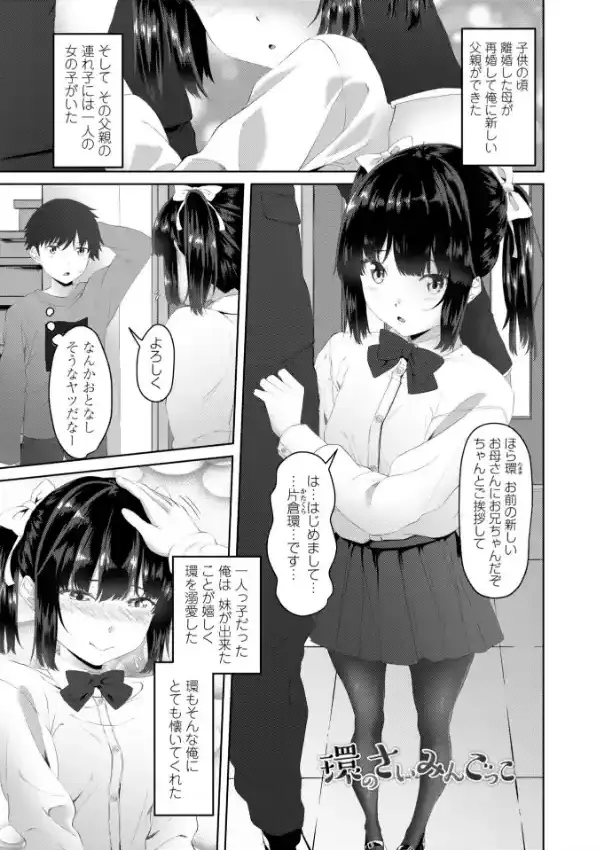 お兄ちゃんのH（えっち）な堕とし方2