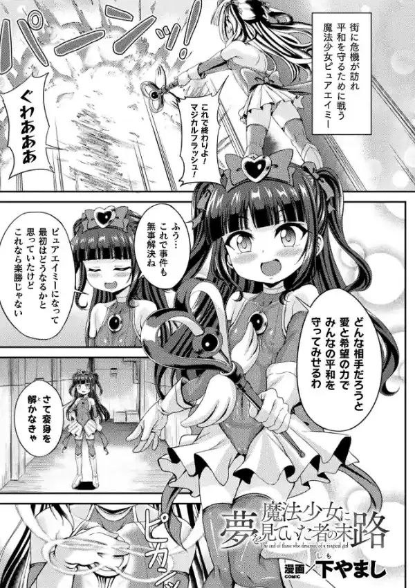 魔法少女に夢を見ていた者の末路0