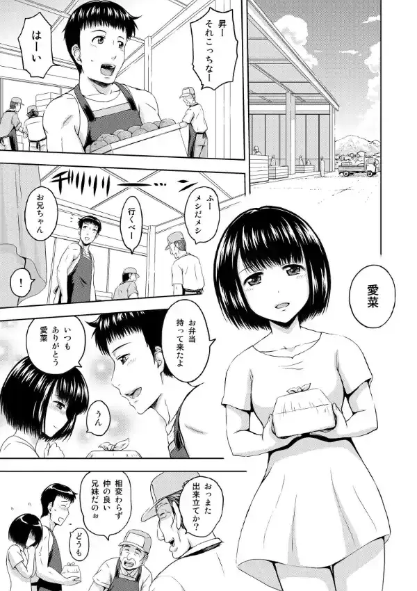 続・お兄ちゃん寂しいの 妹との幸せな生活に友達姉妹がやって来て… 合本版 12