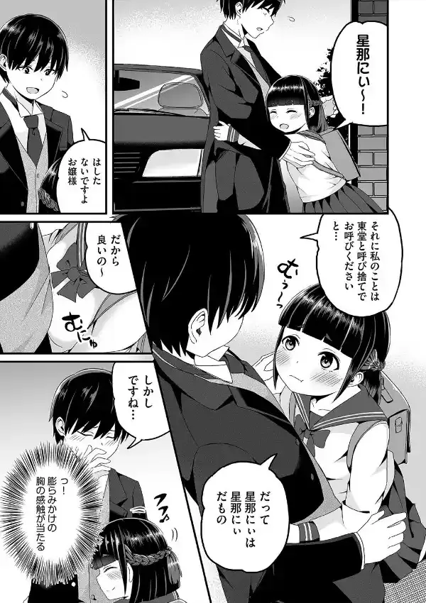 お嬢様は手淫をお手伝いしたい！2