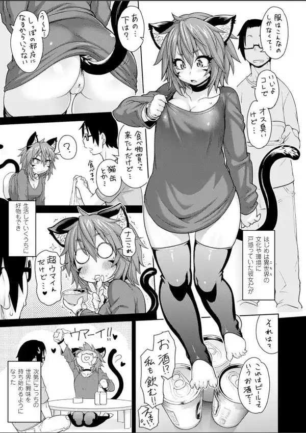 けものっ娘通信〜猫娘ニア〜4