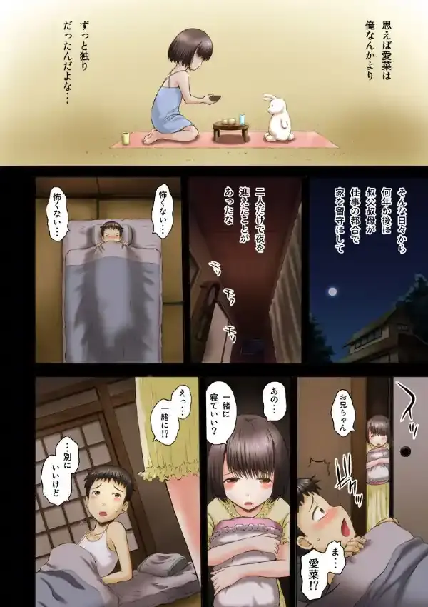 お兄ちゃん寂しいの 久しぶりに田舎帰ったらちっちゃかった妹が育ってて…（フルカラー版）2