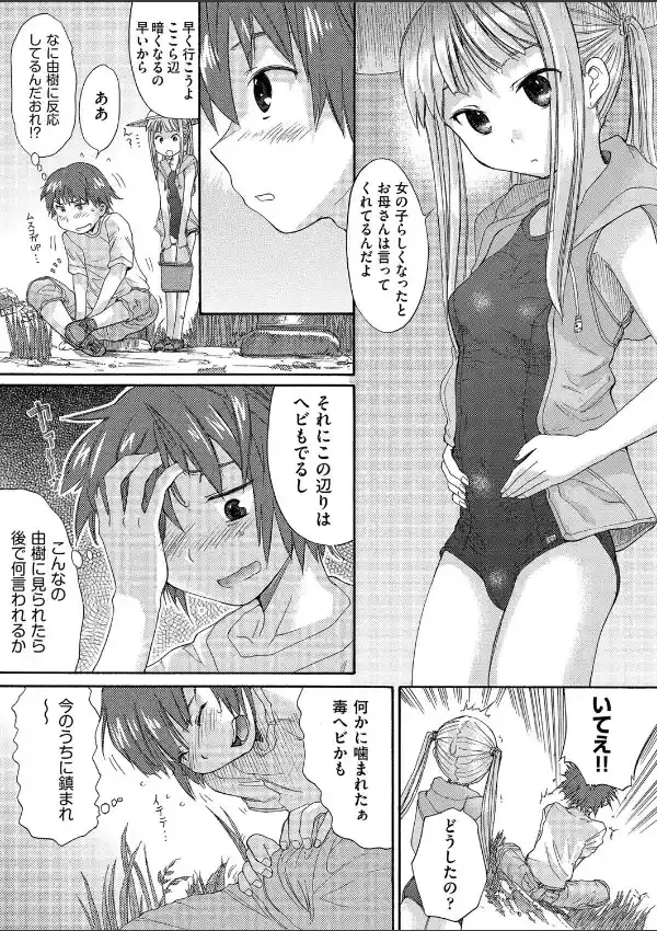 夏の桔梗2