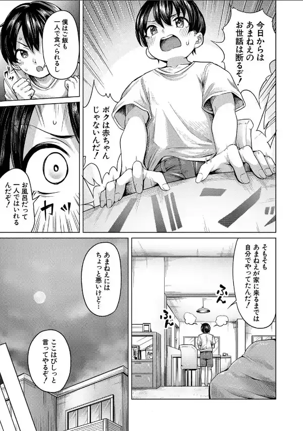 ぼくとえっちなお姉ちゃん【1話立ち読み付き】14