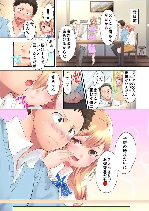 弟に甘い姉ちゃんはセックスまでさせてくれる 15