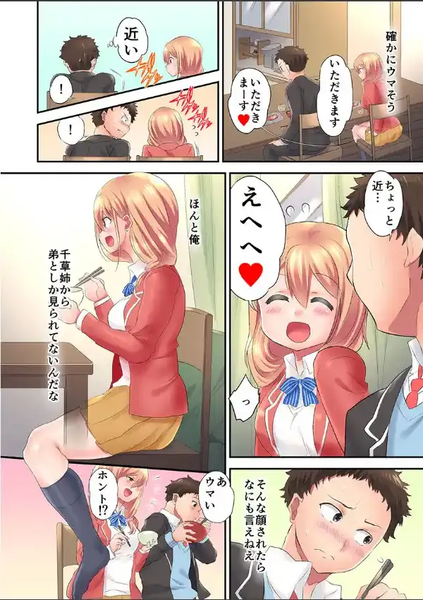 弟に甘い姉ちゃんはセックスまでさせてくれる 17