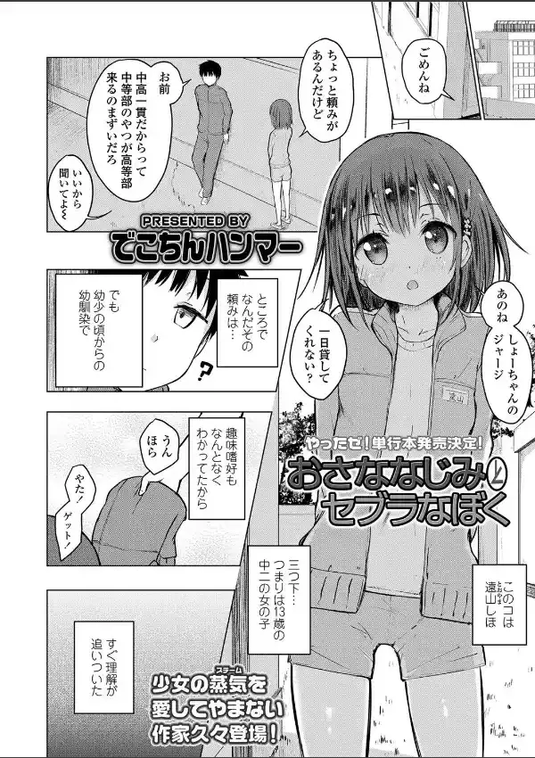 おさななじみとセブラなぼく3