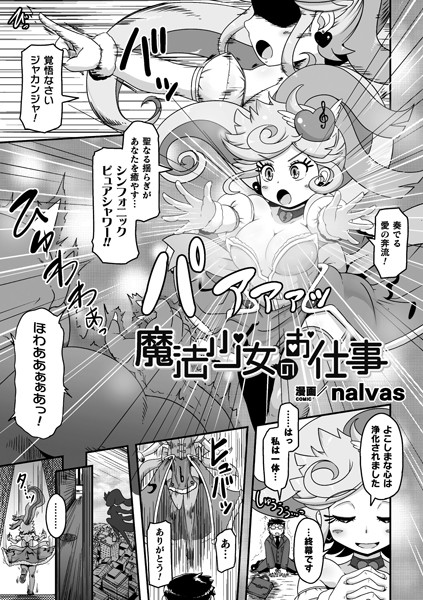 魔法少女のお仕事