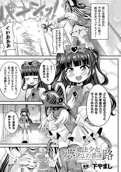 魔法少女に夢を見ていた者の末路