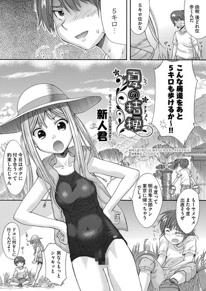 夏の桔梗