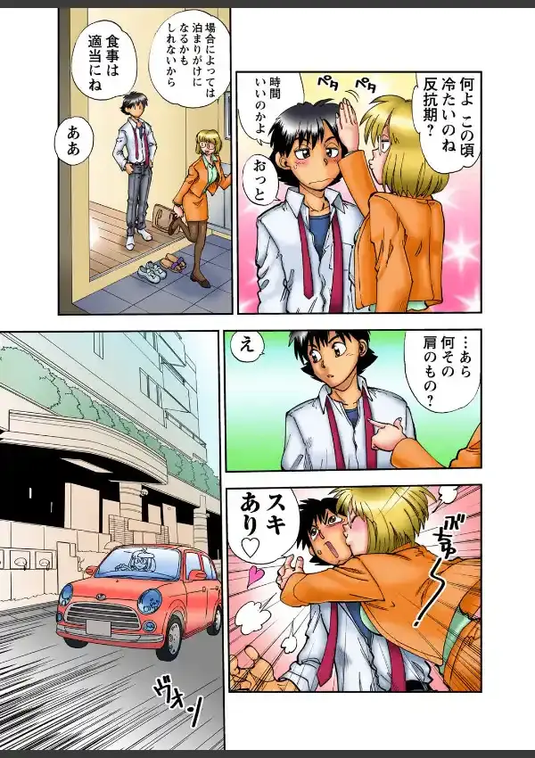 お義母さんはボクのもの！？ 17