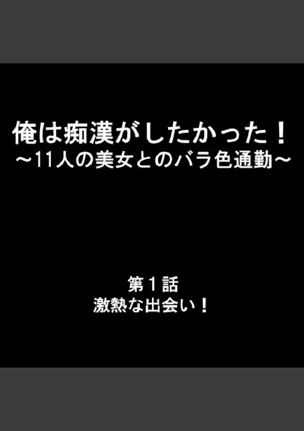 俺は痴●がしたかった！ 〜11人の美女とのバラ色通勤〜 11