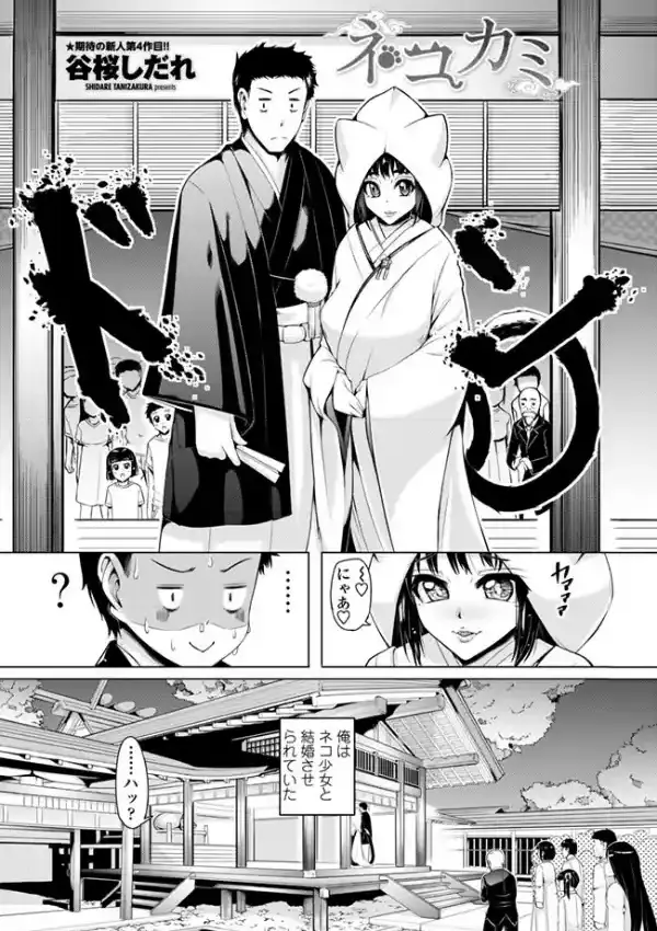 ネコカミ1
