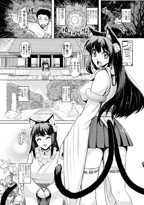 ネコカミ2
