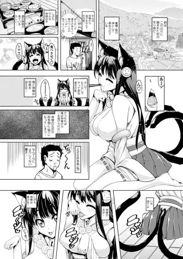 ネコカミ3