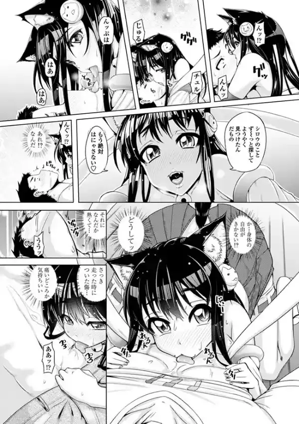 ネコカミ7
