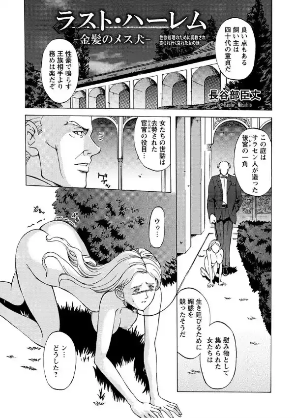 ラスト・ハーレム 金髪のメス犬2