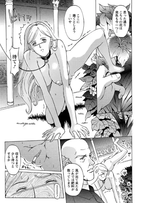 ラスト・ハーレム 金髪のメス犬4