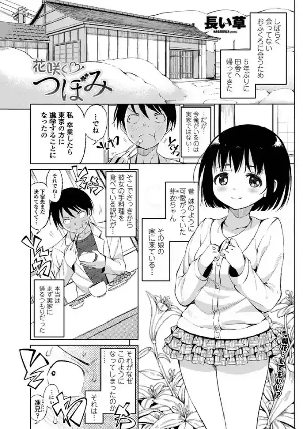 花咲く つぼみ0