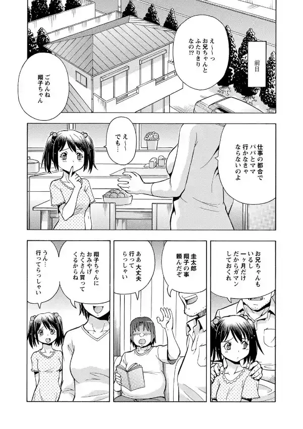 妹の味は蜜の味4