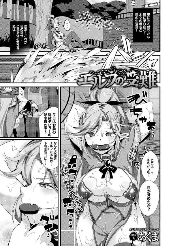 エルフの受難0
