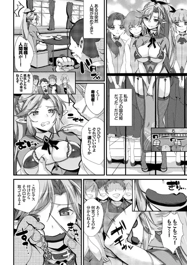 エルフの受難1