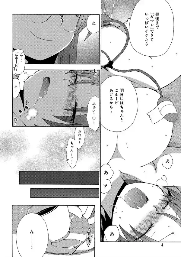 あねばか。 PART.13