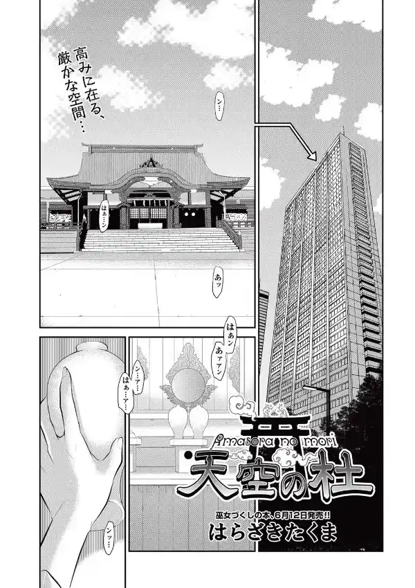天空の杜0