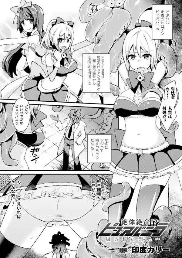 正義のヒロイン姦獄ファイル Vol.221