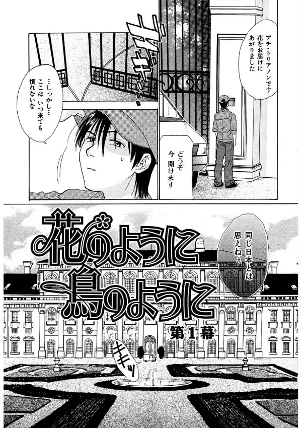 花のように鳥のように3