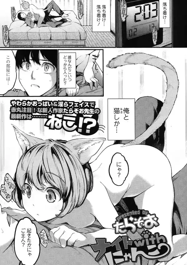ナイトwithにゃんこ0
