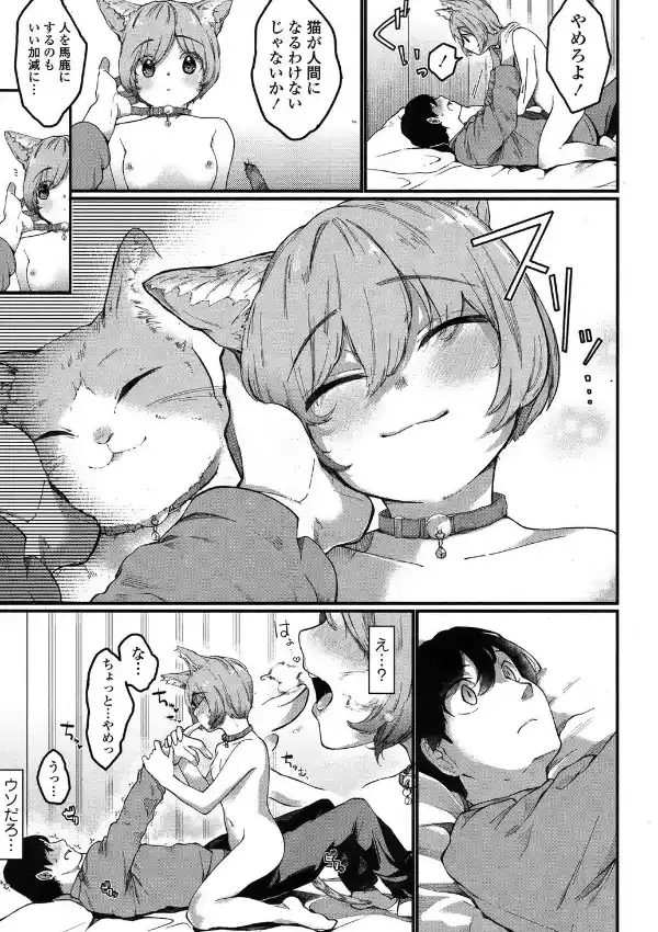 ナイトwithにゃんこ2