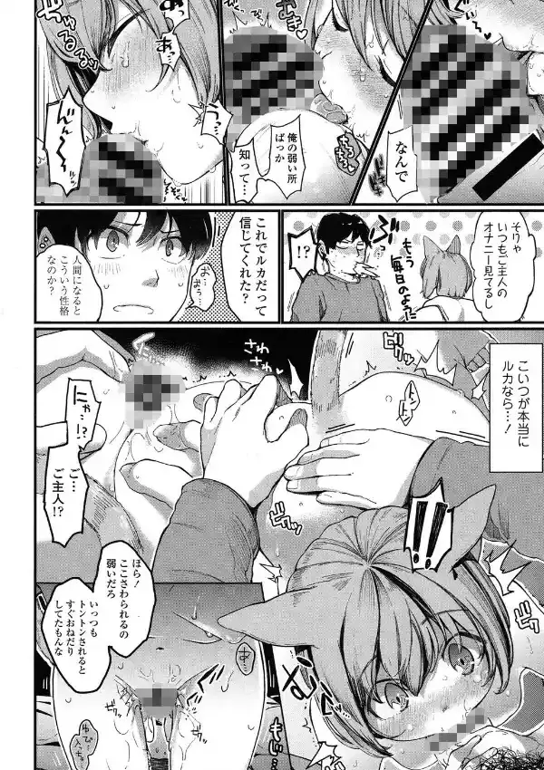 ナイトwithにゃんこ5