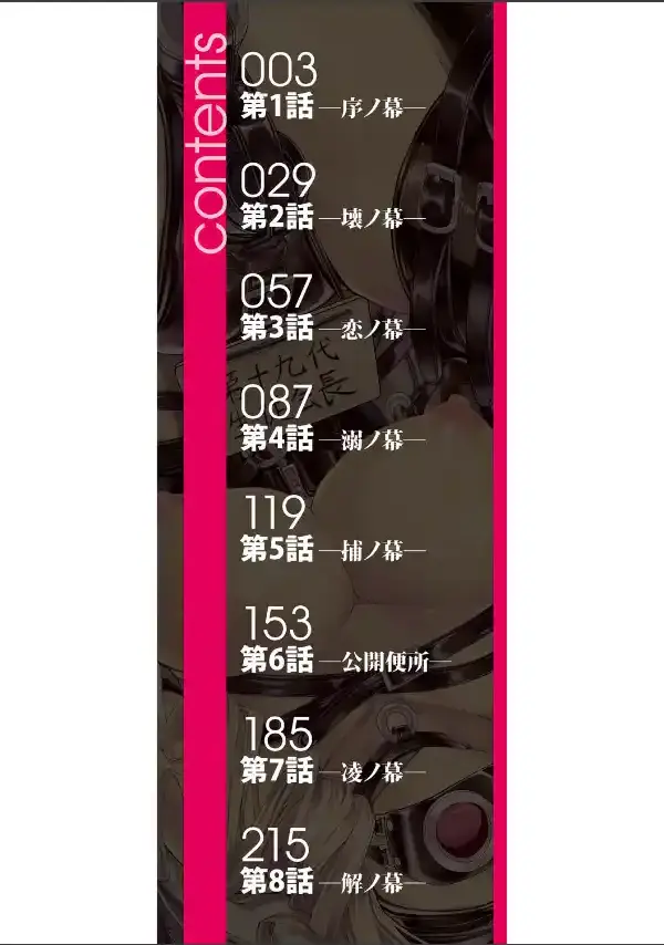 公開便所【ハイグレード版】1