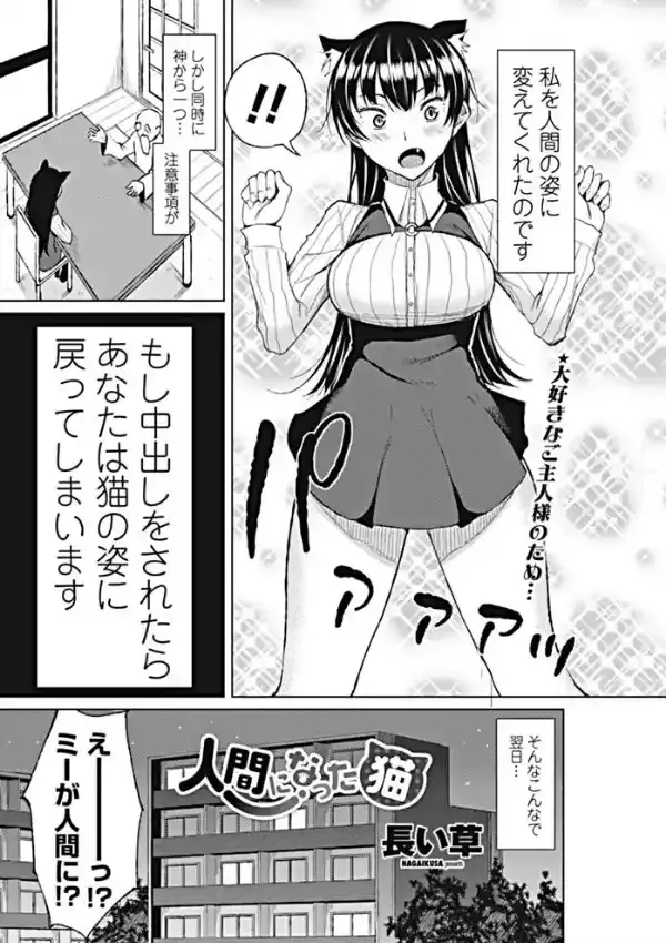 人間になった猫1