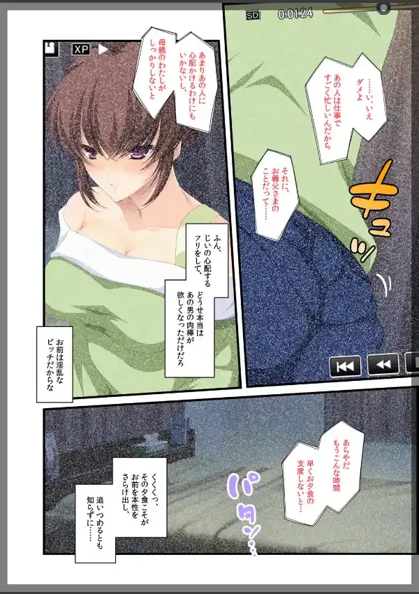 自宅警備員〜熟れた未亡人 葛木翔子 編〜2