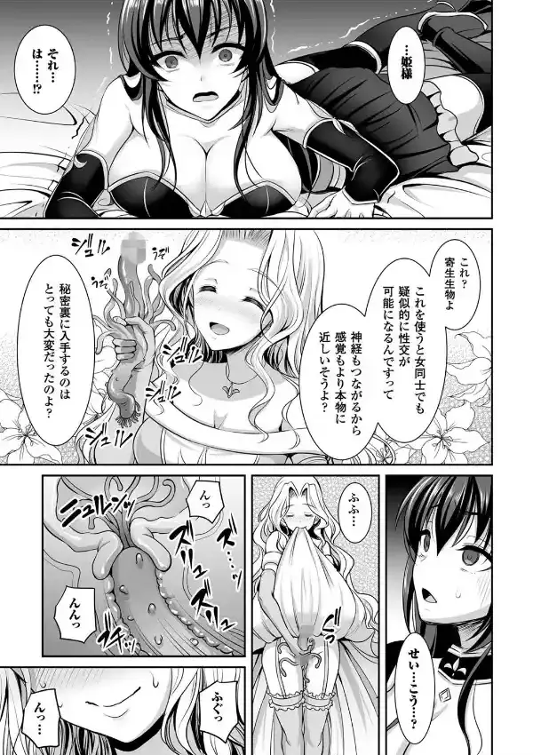 白百合姫と黒百合の騎士4