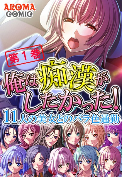 俺は痴●がしたかった！ 〜11人の美女と...