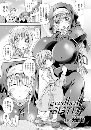 Seedbed SISTER