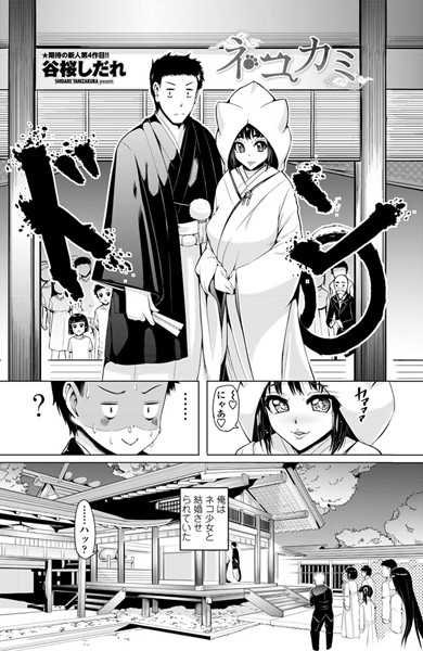 ネコカミ
