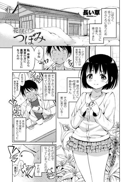 花咲く つぼみ