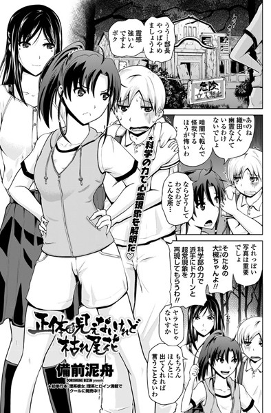 正体は見えないけれど枯れ尾花