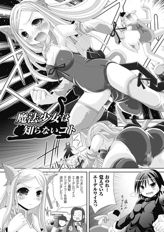 魔法少女は知らないコト