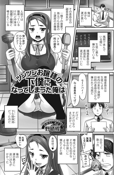 ツンツンお嬢様の下僕になってしまった俺は