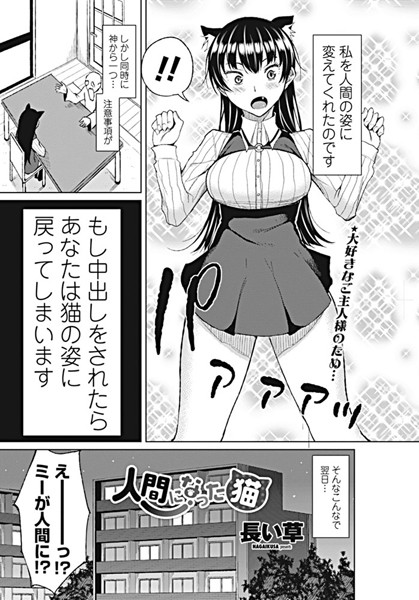 人間になった猫