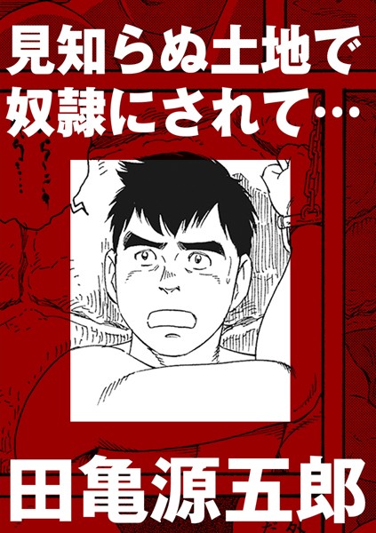 見知らぬ土地で奴●にされて…
